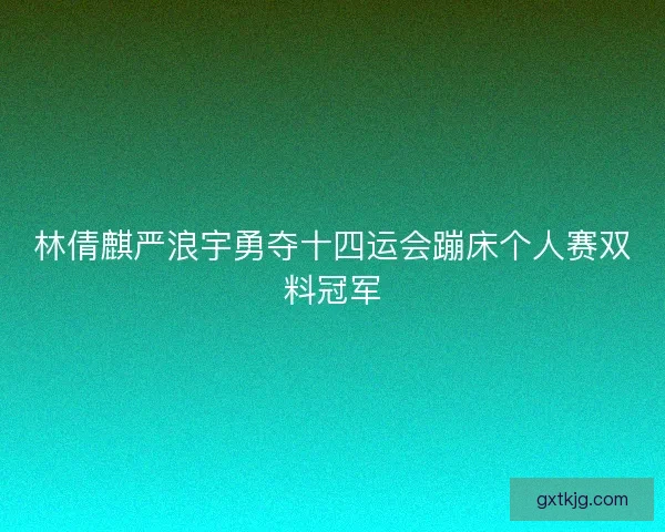 林倩麒严浪宇勇夺十四运会蹦床个人赛双料冠军